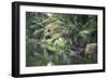 Traditional Boat Moored on the Still Water of the Kerala Backwaters, Kerala, India, Asia-Martin Child-Framed Photographic Print