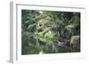 Traditional Boat Moored on the Still Water of the Kerala Backwaters, Kerala, India, Asia-Martin Child-Framed Photographic Print