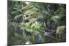 Traditional Boat Moored on the Still Water of the Kerala Backwaters, Kerala, India, Asia-Martin Child-Mounted Photographic Print