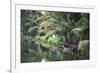 Traditional Boat Moored on the Still Water of the Kerala Backwaters, Kerala, India, Asia-Martin Child-Framed Photographic Print