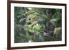 Traditional Boat Moored on the Still Water of the Kerala Backwaters, Kerala, India, Asia-Martin Child-Framed Photographic Print