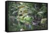 Traditional Boat Moored on the Still Water of the Kerala Backwaters, Kerala, India, Asia-Martin Child-Framed Stretched Canvas