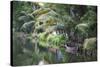 Traditional Boat Moored on the Still Water of the Kerala Backwaters, Kerala, India, Asia-Martin Child-Stretched Canvas