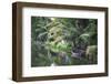 Traditional Boat Moored on the Still Water of the Kerala Backwaters, Kerala, India, Asia-Martin Child-Framed Photographic Print