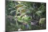 Traditional Boat Moored on the Still Water of the Kerala Backwaters, Kerala, India, Asia-Martin Child-Mounted Photographic Print