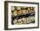 Traditional Bread of Norway, Oslo. Europe-Carlos Sanchez Pereyra-Framed Photographic Print