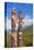 Traditional Canadian Native Totem Poles at Sunwapta Falls Resort-Neale Clark-Stretched Canvas