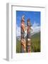 Traditional Canadian Native Totem Poles at Sunwapta Falls Resort-Neale Clark-Framed Photographic Print