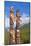 Traditional Canadian Native Totem Poles at Sunwapta Falls Resort-Neale Clark-Mounted Photographic Print