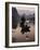 Traditional Chinese Fisherman with Cormorants, Li River, Guilin, China-Adam Jones-Framed Photographic Print