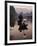 Traditional Chinese Fisherman with Cormorants, Li River, Guilin, China-Adam Jones-Framed Photographic Print