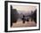 Traditional Chinese Fisherman with Cormorants, Li River, Guilin, China-Adam Jones-Framed Photographic Print