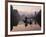 Traditional Chinese Fisherman with Cormorants, Li River, Guilin, China-Adam Jones-Framed Photographic Print