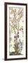 Traditional Chinoiserie II-null-Framed Art Print