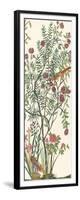 Traditional Chinoiserie III-null-Framed Art Print