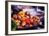 Traditional Christmas Restaurant in Poland.-Curioso Travel Photography-Framed Photographic Print