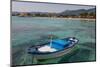 Traditional Colourful Fishing Boat Moored at the Seaside Resort of Mondello, Sicily, Italy-Martin Child-Mounted Photographic Print