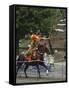 Traditional Costume and Horse, Ceremony for Archery Festival, Tokyo, Japan-Christian Kober-Framed Stretched Canvas