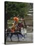 Traditional Costume and Horse, Ceremony for Archery Festival, Tokyo, Japan-Christian Kober-Stretched Canvas