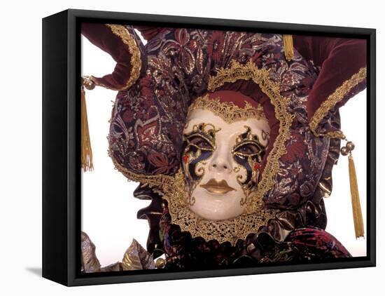 Traditional Costumes, Carnival, Venice, Italy-Sergio Pitamitz-Framed Stretched Canvas