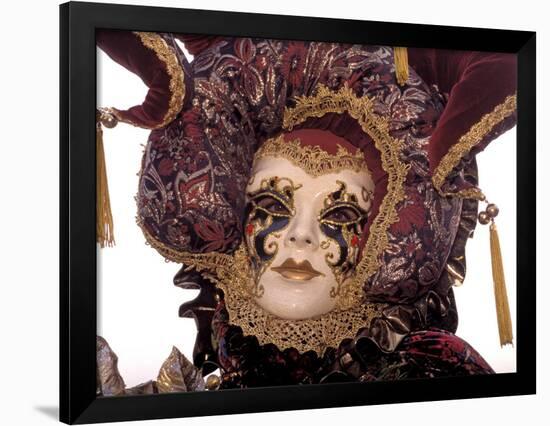 Traditional Costumes, Carnival, Venice, Italy-Sergio Pitamitz-Framed Photographic Print