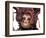 Traditional Costumes, Carnival, Venice, Italy-Sergio Pitamitz-Framed Photographic Print