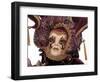 Traditional Costumes, Carnival, Venice, Italy-Sergio Pitamitz-Framed Photographic Print