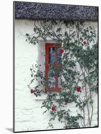 Traditional Cottage, County Mayo, Ireland-William Sutton-Mounted Photographic Print