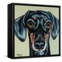 Traditional Dachshund-Carolee Vitaletti-Framed Stretched Canvas