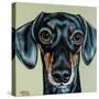 Traditional Dachshund-Carolee Vitaletti-Stretched Canvas