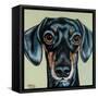 Traditional Dachshund-Carolee Vitaletti-Framed Stretched Canvas