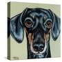 Traditional Dachshund-Carolee Vitaletti-Stretched Canvas