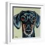 Traditional Dachshund-Carolee Vitaletti-Framed Art Print