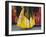 Traditional Dresses, Las Fallas Fiesta, Valencia, Spain, Europe-Rob Cousins-Framed Photographic Print