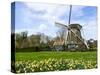 Traditional Dutch Windmill with Daffodils Field Nearby, the Netherlands-Tetyanka-Stretched Canvas