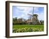 Traditional Dutch Windmill with Daffodils Field Nearby, the Netherlands-Tetyanka-Framed Photographic Print