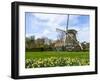 Traditional Dutch Windmill with Daffodils Field Nearby, the Netherlands-Tetyanka-Framed Photographic Print