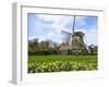 Traditional Dutch Windmill with Daffodils Field Nearby, the Netherlands-Tetyanka-Framed Photographic Print