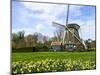 Traditional Dutch Windmill with Daffodils Field Nearby, the Netherlands-Tetyanka-Mounted Photographic Print