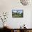 Traditional Dutch Windmill, Zuiderzee Open Air Museum, Lake Ijssel-Peter Richardson-Framed Stretched Canvas displayed on a wall