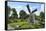 Traditional Dutch Windmill, Zuiderzee Open Air Museum, Lake Ijssel-Peter Richardson-Framed Stretched Canvas