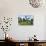 Traditional Dutch Windmill, Zuiderzee Open Air Museum, Lake Ijssel-Peter Richardson-Photographic Print displayed on a wall