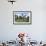 Traditional Dutch Windmill, Zuiderzee Open Air Museum, Lake Ijssel-Peter Richardson-Framed Photographic Print displayed on a wall