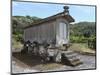 Traditional Elevated Stone Granary (Espigueiro), Used for Storing Corn, Close to the Village of Soa-Stuart Forster-Mounted Photographic Print