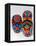 Traditional Ethnic Arts, Huichol Indian Beadwork, Huichol Mythology, Mexico-Russell Gordon-Framed Stretched Canvas