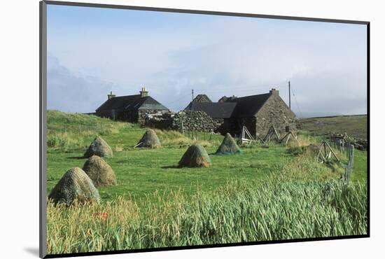 Traditional Farm In The Shetland Isles With Hay Stooks In A Field, Scotland, UK-Jouan Rius-Mounted Photographic Print