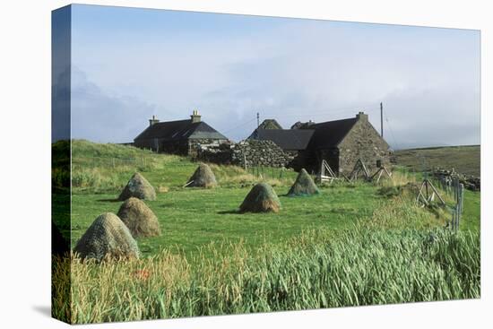 Traditional Farm In The Shetland Isles With Hay Stooks In A Field, Scotland, UK-Jouan Rius-Stretched Canvas