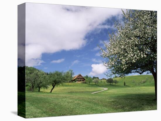 Traditional Farmhouse and Apple Tree in Blossom, Unteraegeri, Switzerland-Rolf Nussbaumer-Stretched Canvas