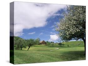 Traditional Farmhouse and Apple Tree in Blossom, Unteraegeri, Switzerland-Rolf Nussbaumer-Stretched Canvas