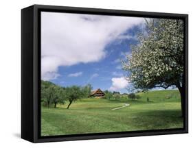 Traditional Farmhouse and Apple Tree in Blossom, Unteraegeri, Switzerland-Rolf Nussbaumer-Framed Stretched Canvas